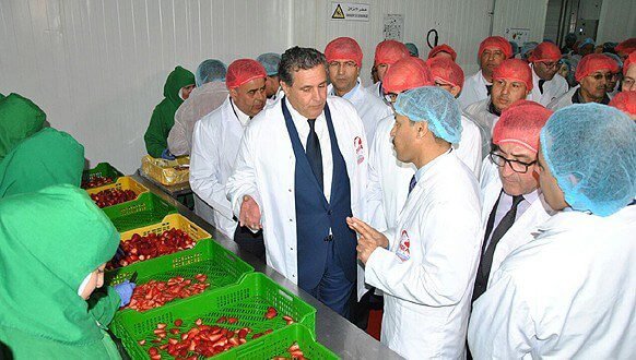 Ouverture du Festival national des petits fruits rouges à Larache fruits rouges
