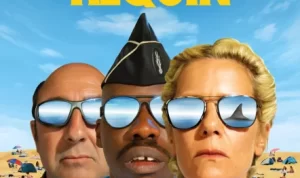 L'année du Requin