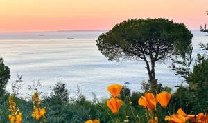 Vue sur mer au coucher du soleil pour un printemps à Tanger