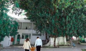 Visite des jardins de la Mendoubia pendant le printemps à Tanger