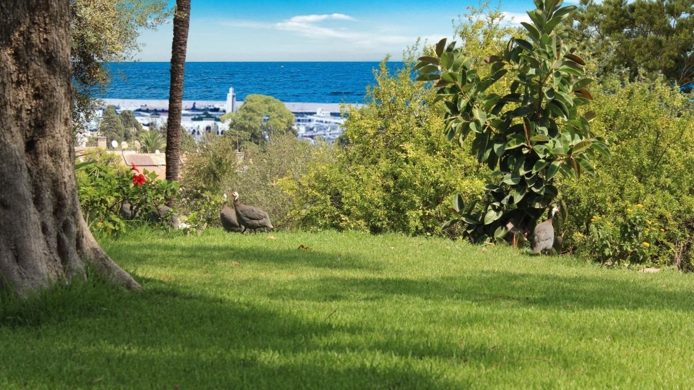 Le jardin Majorelle de l'hôtel El Minzah Tanger avec vue sur mer et port