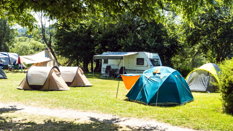 Tentes de camping installées à l'ombre des eucalyptus dans la nature